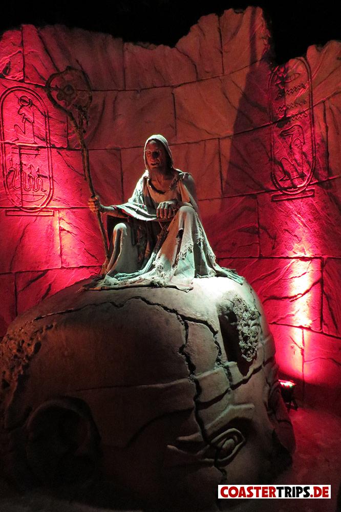 walibibelgium17