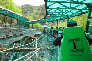 Badaling Great Wall & Alpine Coaster